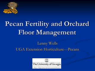 Pecan Fertility and Orchard Floor Management