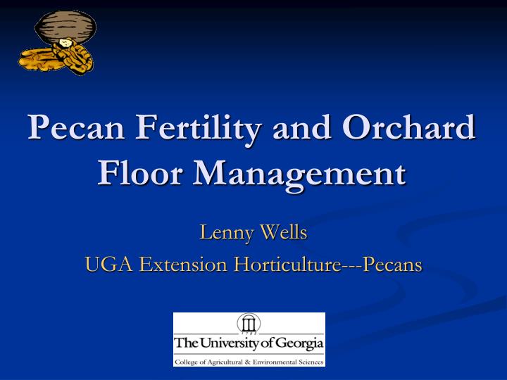 pecan fertility and orchard floor management