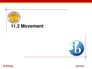 11.2 Movement