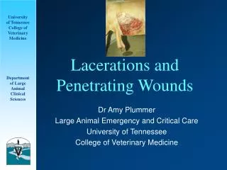 Lacerations and Penetrating Wounds