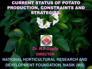 Dr. R.P.Gupta DIRECTOR NATIONAL HORTICULTURAL RESEARCH AND DEVELOPMENT FOUNDATION, NASIK (MS)