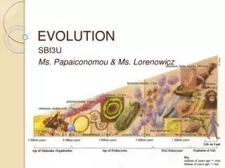 evolution