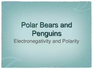 Polar Bears and Penguins