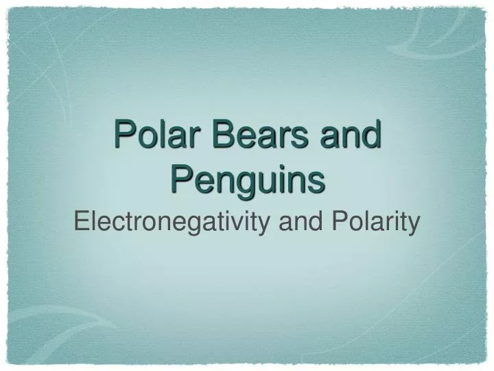 polar bears and penguins