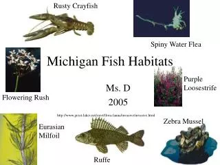 Michigan Fish Habitats