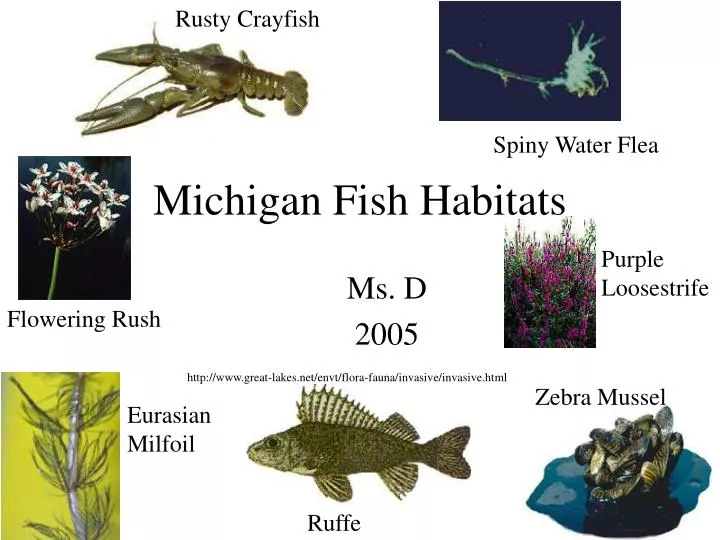 michigan fish habitats