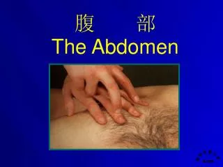腹 部 The Abdomen