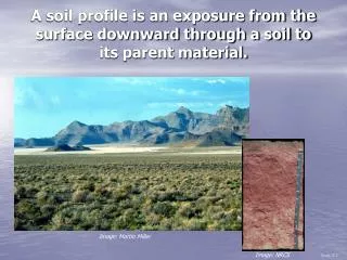 A soil profile is an exposure from the surface downward through a soil to its parent material.