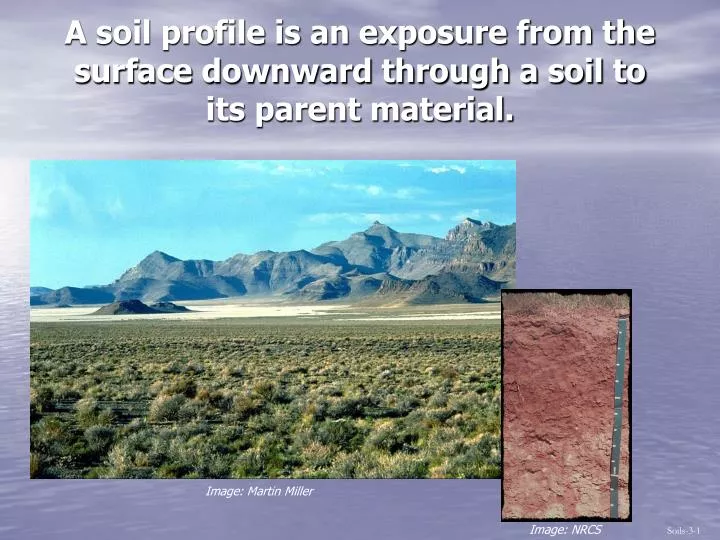 a soil profile is an exposure from the surface downward through a soil to its parent material