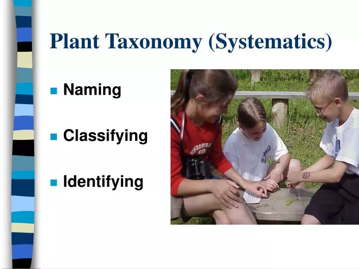 plant taxonomy systematics