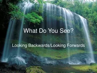 What Do You See?