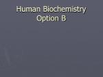 Human Biochemistry Option B - slide 1
