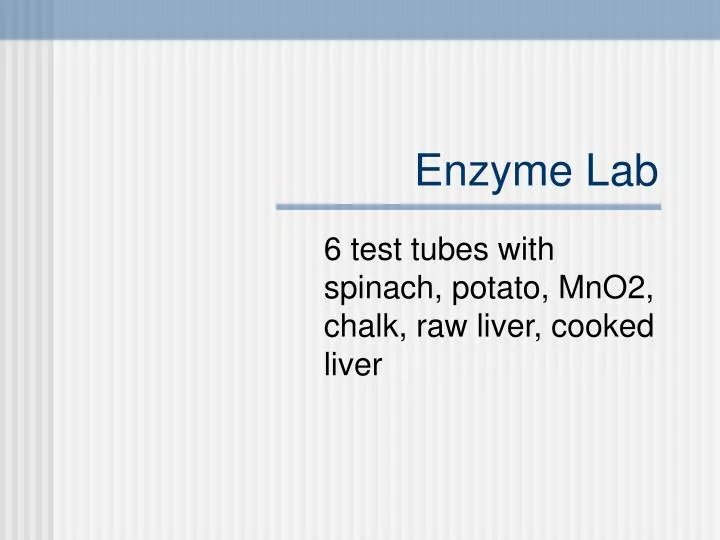enzyme lab