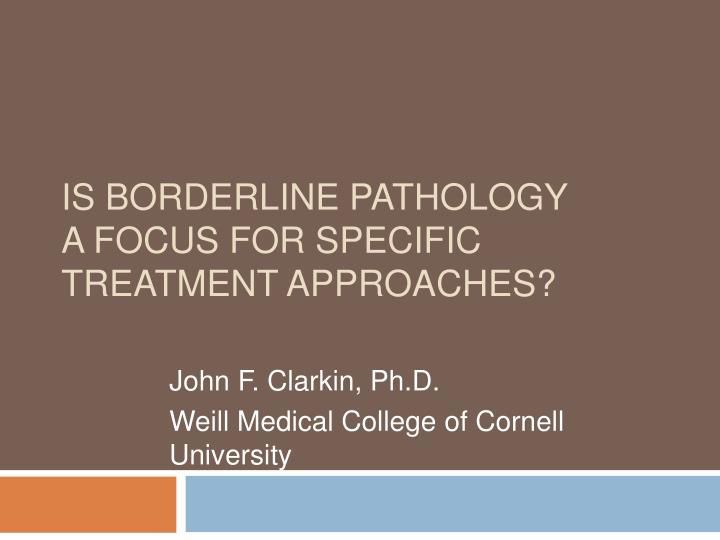 is borderline pathology a focus for specific treatment approaches