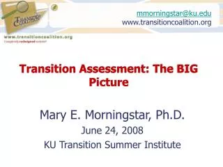 Transition Assessment: The BIG Picture