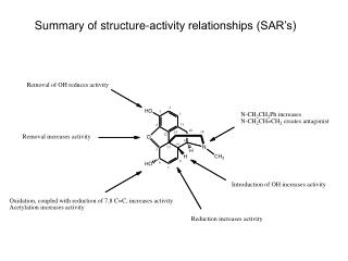 Summary of structure-activity relationships (SAR’s)