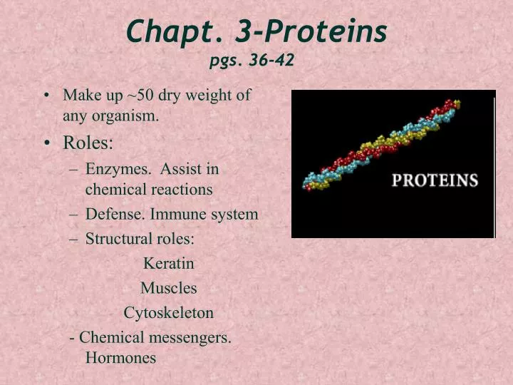 chapt 3 proteins pgs 36 42