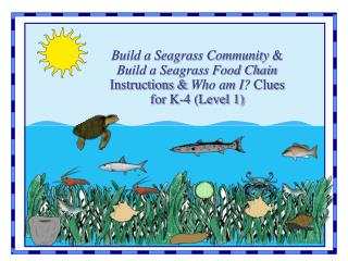 Build a Seagrass Community &amp; Build a Seagrass Food Chain Instructions &amp; Who am I? Clues for K-4 (Level 1)
