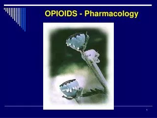 OPIOIDS - Pharmacology