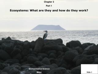 Chapter 3 Part 1 Ecosystems: What are they and how do they work?