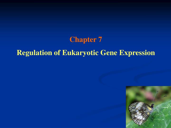 chapter 7 regulation of eukaryotic gene expression