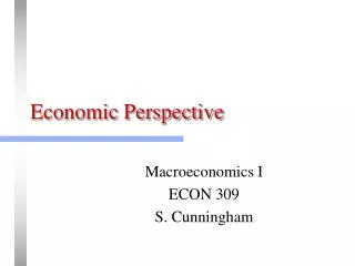 Economic Perspective