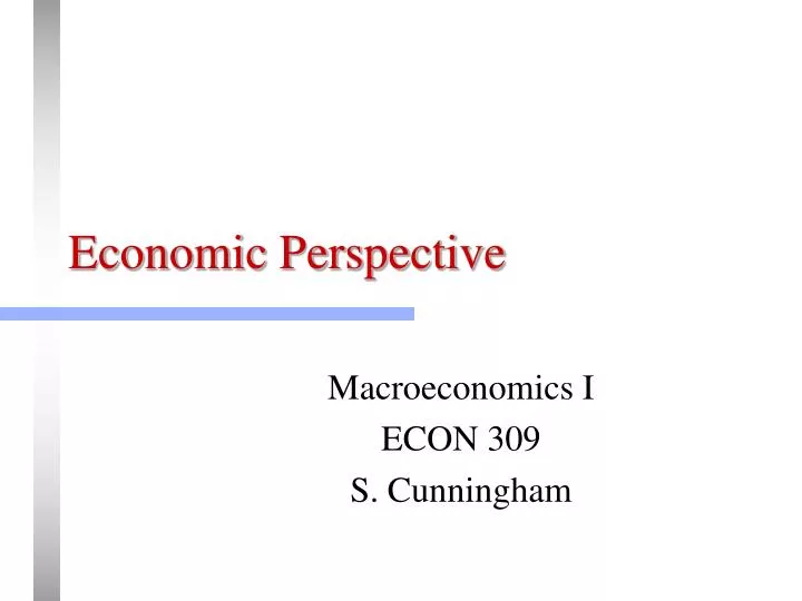 economic perspective