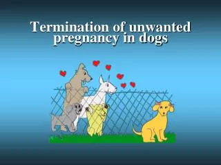 Termination of unwanted pregnancy in dogs