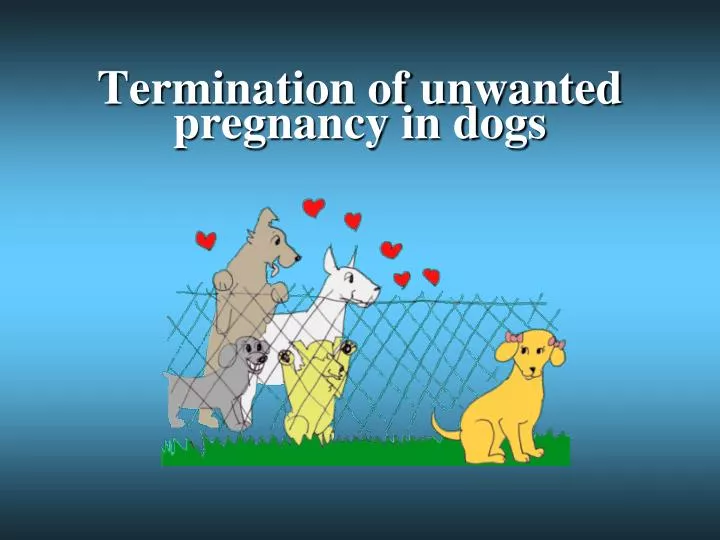 termination of unwanted pregnancy in dogs