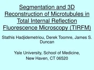 Segmentation and 3D Reconstruction of Microtubules in Total Internal Reflection Fluorescence Microscopy (TIRFM)