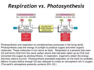 Respiration vs. Photosynthesis
