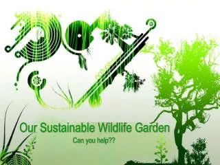 Our Sustainable Wildlife Garden