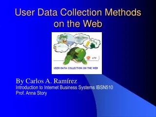 User Data Collection Methods on the Web