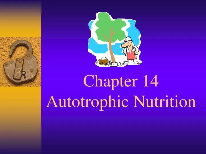 chapter 14 autotrophic nutrition