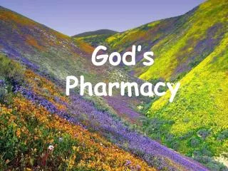 God’s Pharmacy