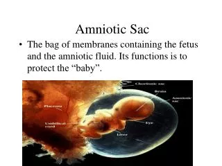 Amniotic Sac