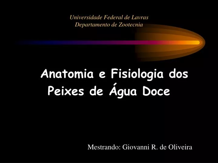 universidade federal de lavras departamento de zootecnia