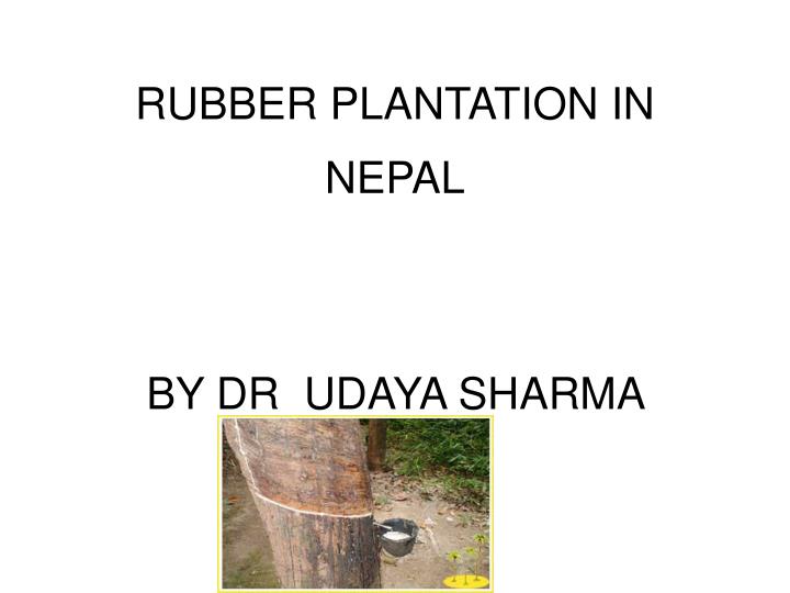 rubber plantation in nepal by dr udaya sharma