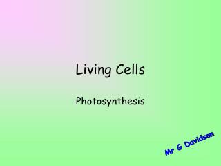 Living Cells