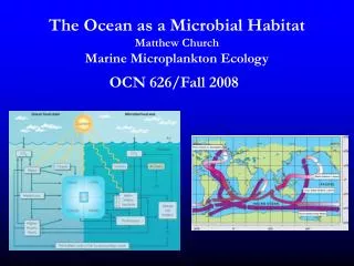 The Ocean as a Microbial Habitat Matthew Church Marine Microplankton Ecology
