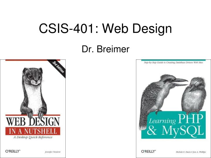 csis 401 web design