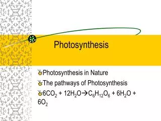 Photosynthesis