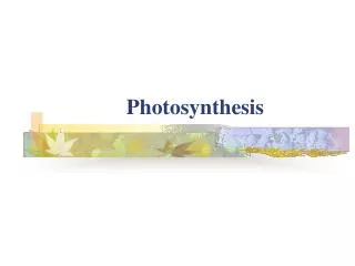 Photosynthesis