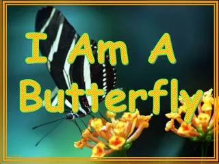 I Am A Butterfly