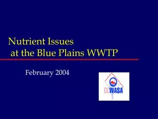 Nutrient Issues at the Blue Plains WWTP