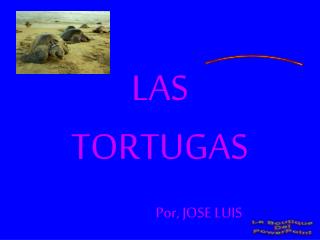 LAS TORTUGAS Por, JOSE LUIS