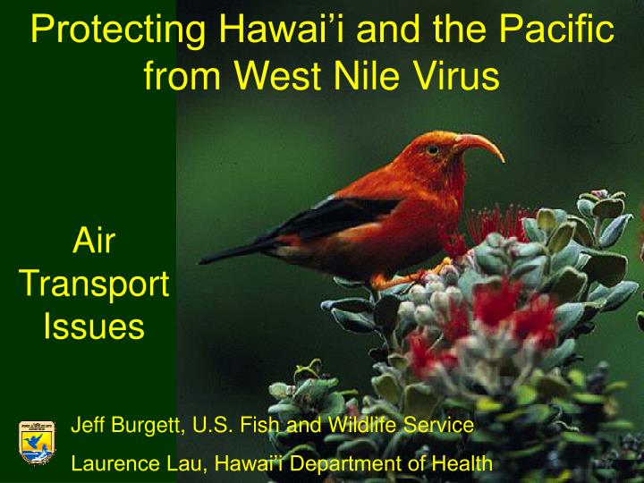 protecting hawai i and the pacific from west nile virus