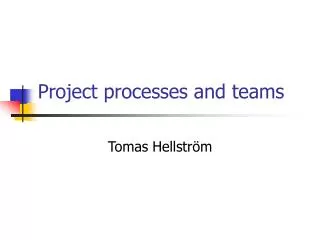 Project processes and teams