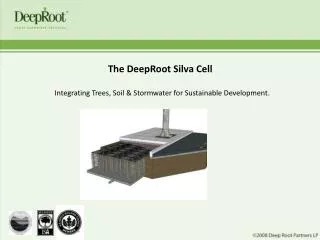 The DeepRoot Silva Cell Integrating Trees, Soil &amp; Stormwater for Sustainable Development.