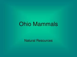Ohio Mammals
